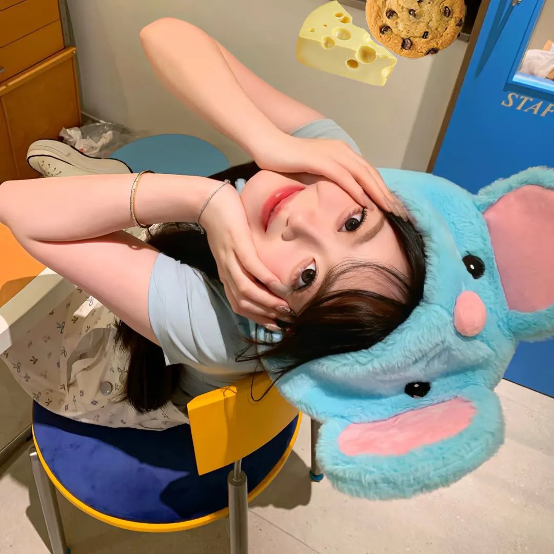 警察与女兵国语 封面